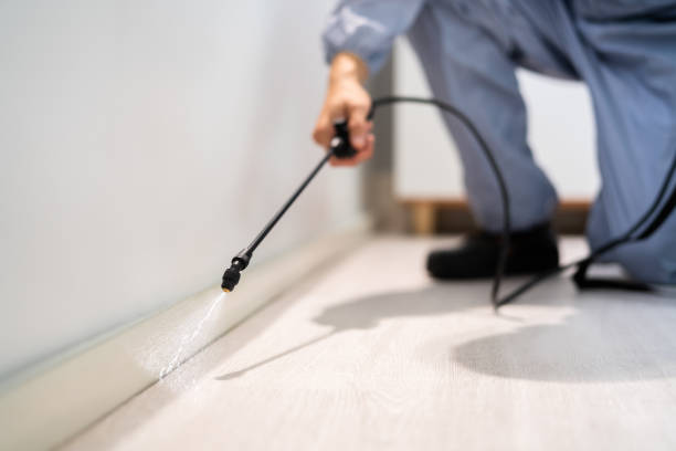 Bed Bug Pre-Treatment Preparation Assessment in Sneads Ferry
