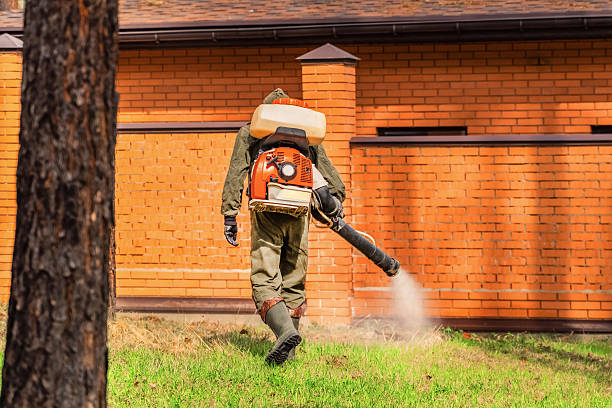 Bed Bug Clearance Verification and Documentation in Sneads Ferry